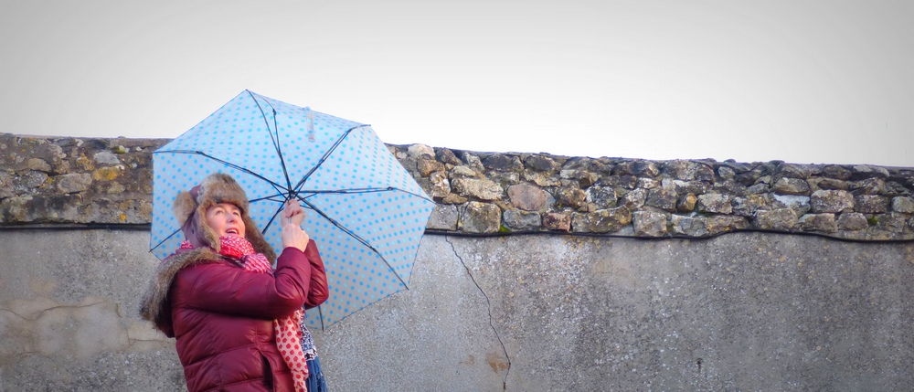 Sous la pluie il pousse de nouvelles créations