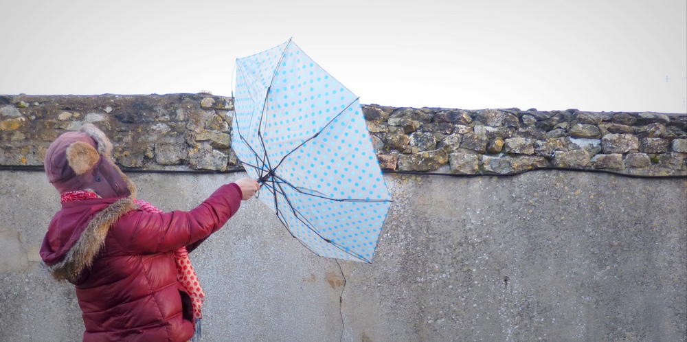 Sous la pluie il pousse de nouvelles créations