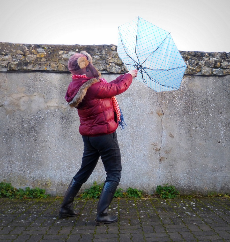 Sous la pluie il pousse de nouvelles créations