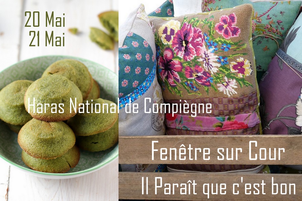 Nos créatrices