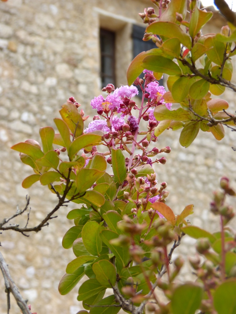 Maison familiale, origamis et retrouvailles