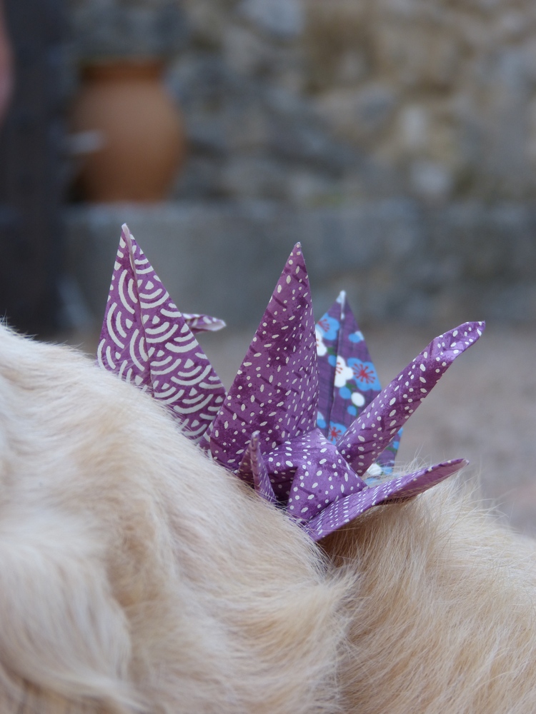 Maison familiale, origamis et retrouvailles