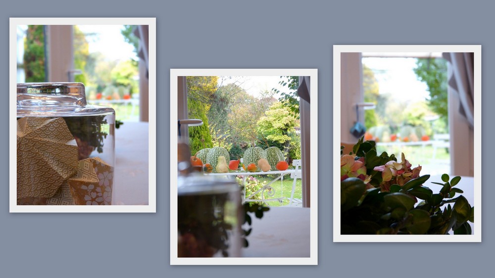 La maison aux hortensias