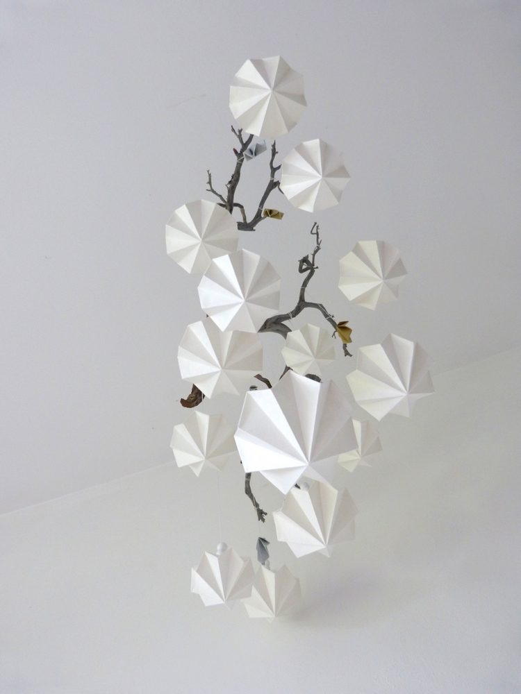 Le diamant blanc, le plus beau des diamants