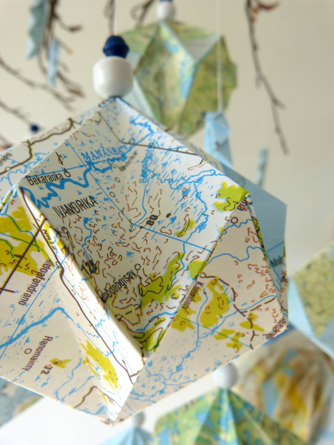 Estampapier en vitrine chez la Lunetterie Dadier