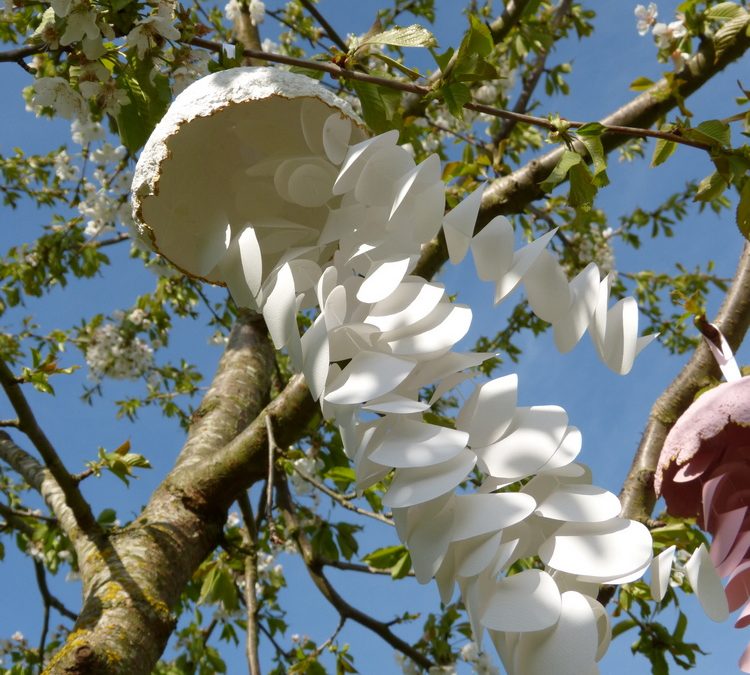 Méduses aériennes, une nouveauté chez Estampapier